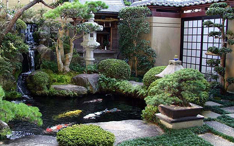 Indoor Zen garden