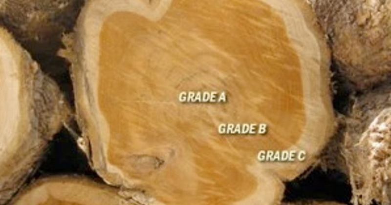 Grade A Teak Wood And 7 Main Advantages