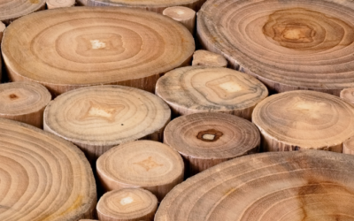 What is Grade A Teak Wood? And 7 Main Advantages