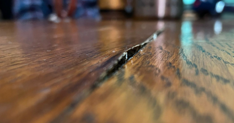 Termites in Wood Furniture and How To Get Rid