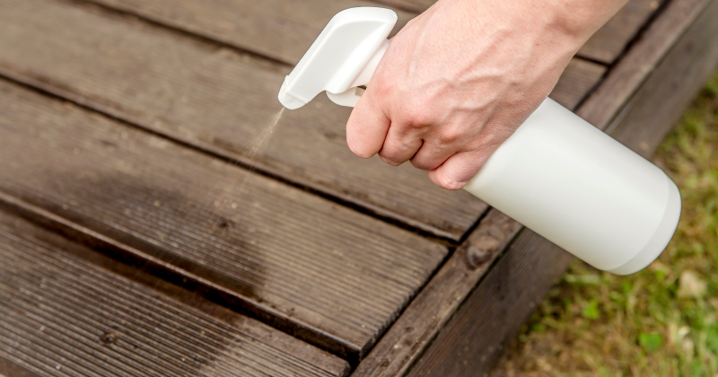 How to Prevent Termites in Wood Furniture