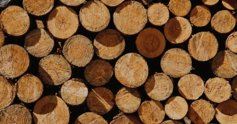 Teak Wood vs Pine Wood for Outdoor Furniture